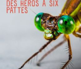 image-https://media.senscritique.com/media/000019861695/0/les_insectes_des_heros_a_6_pattes.jpg