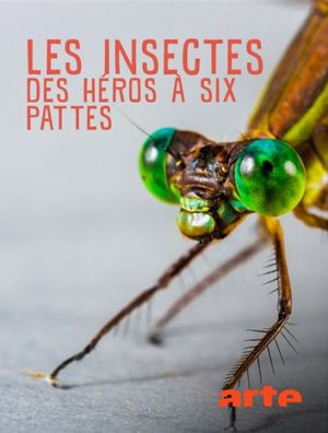 Les insectes - Des héros à 6 pattes