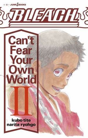Bleach: Can't Fear Your Own World, tome 2