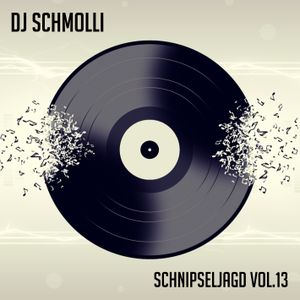 Schnipseljagd Vol.13