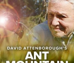 image-https://media.senscritique.com/media/000019872547/0/david_attenborough_s_ant_mountain.jpg