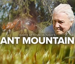 image-https://media.senscritique.com/media/000019872548/0/david_attenborough_s_ant_mountain.jpg