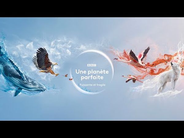 Une planète parfaite