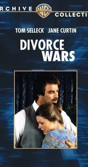 Divorce Wars