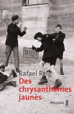 Des chrysanthèmes jaunes