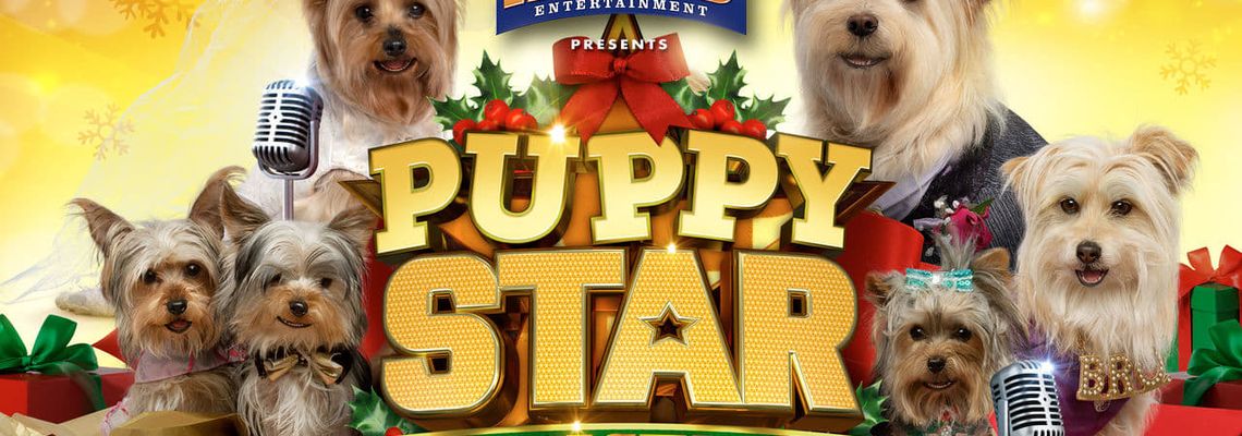 Cover Puppy Star : c'est Noël !