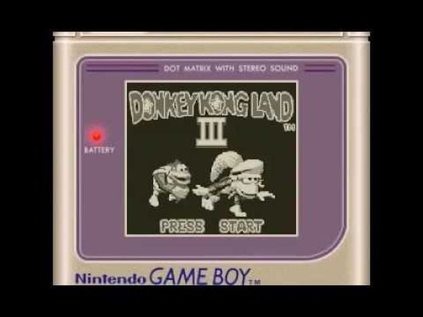 Donkey Kong Land III