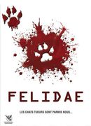 Affiche Felidae