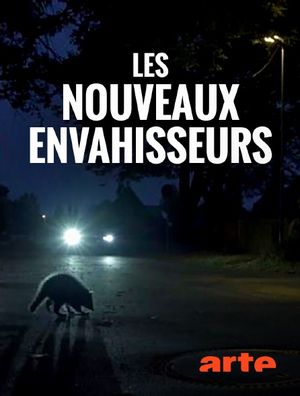 Les nouveaux envahisseurs - Chacal doré, chien viverrin et raton laveur