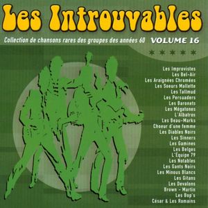 Les Introuvables: Collection de chansons rares des groupes des années 60 Volume 16