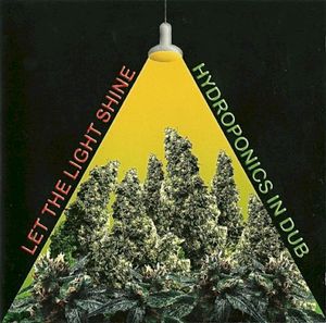 Let the Light Shine: Hydroponics in Dub
