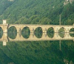 image-https://media.senscritique.com/media/000019878860/0/un_pont_sur_la_drina.jpg