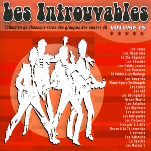 Les Introuvables: Collection de chansons rares des groupes des années 60 Volume 15