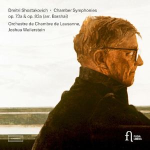 Chamber Symphony in F major, op. 73a: II. Moderato con moto (Rumblings of Unrest and Anticipation)