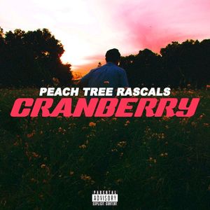 Cranberry (Single)