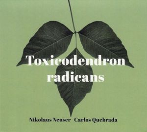 Toxicodendron Radicans