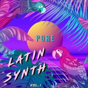 Pure Latin Synth, Vol. 1