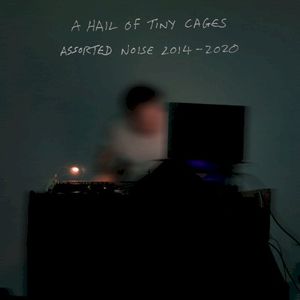 A Hail of Tiny Cages | Assorted Noise 2014-2020