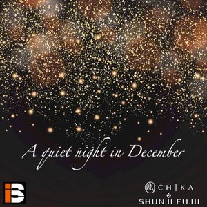 A quiet night in December (Single)