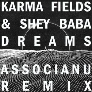 Dreams (Associanu remix)