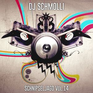 Schnipseljagd Vol.14