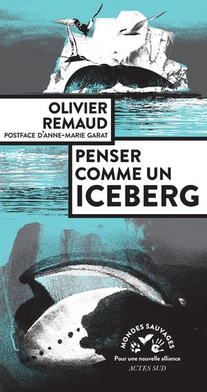 Penser comme un iceberg