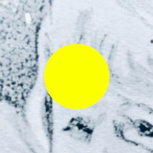 Confid Trif Detec (Single)