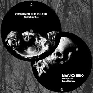 Controlled Death / Mayuko Hino