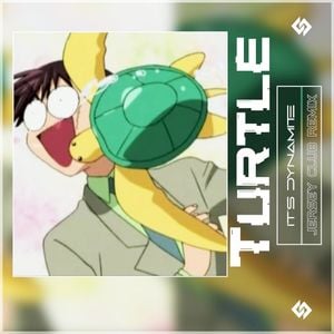 Turtle (Single)