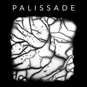 Palissade