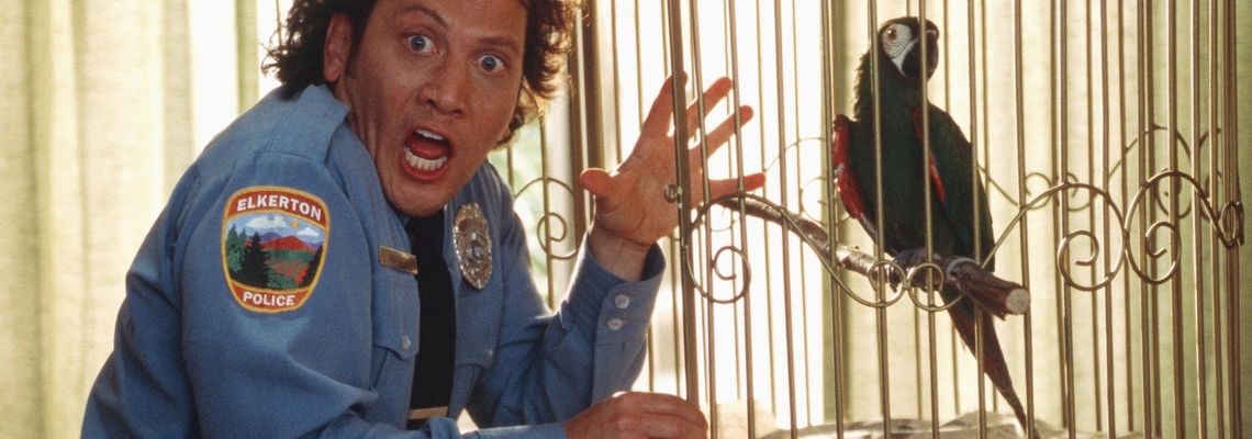 Cover Animal ! L'animal...