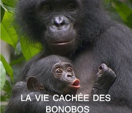 image-https://media.senscritique.com/media/000019901071/0/la_vie_cachee_des_bonobos.jpg