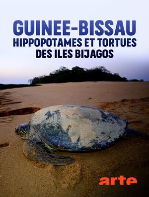 Guinée-Bissau - Hippopotames et tortues des îles Bijagos