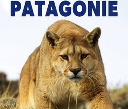 image-https://media.senscritique.com/media/000019901150/0/les_pumas_de_patagonie.jpg