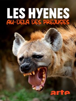 Les Hyènes: Au-delà des préjugés