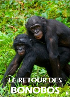 Le Retour des bonobos