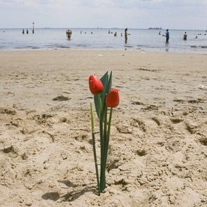 Barely Alive (Devours remix) (Single)