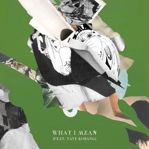 What I Mean (Single)