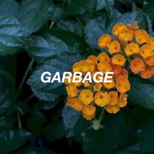 limited garbage (EP)