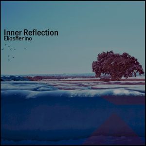 Inner Reflection