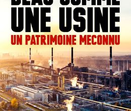 image-https://media.senscritique.com/media/000019909345/0/beau_comme_une_usine_un_patrimoine_meconnu.jpg