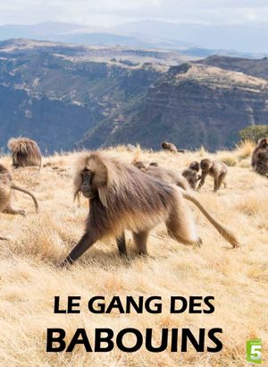 Le Gang des babouins