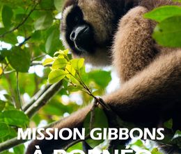 image-https://media.senscritique.com/media/000019909474/0/mission_gibbons_a_borneo.jpg