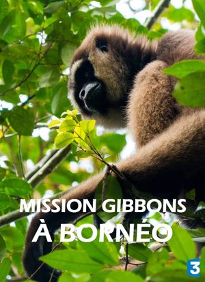 Mission Gibbons à Bornéo