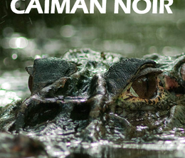 image-https://media.senscritique.com/media/000019909490/0/l_enigme_du_caiman_noir.png