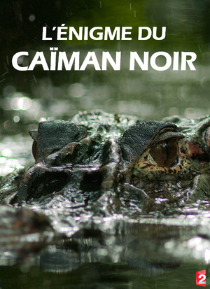 L'Énigme du caïman noir