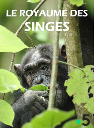 Le Royaume des singes