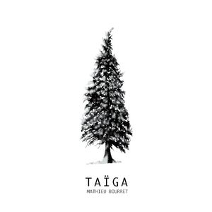 Taïga