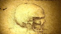 This Is What They Really Did to Patients in Mental Asylums