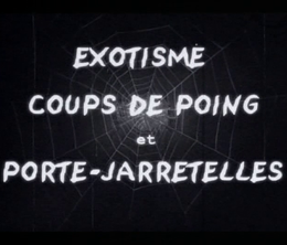 image-https://media.senscritique.com/media/000019913105/0/exotisme_coups_de_poing_et_porte_jarretelles.png